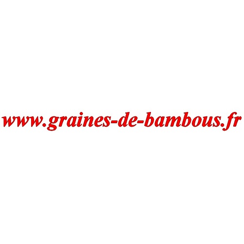 Graines tomate ananas lycopersicum esculentum