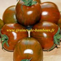 Graines tomate black zebra sur graines de bambous fr