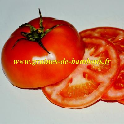 Tomate dutchmann graines de variete ancienne