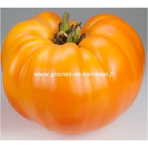 Graines tomate kellogg s breakfast