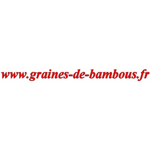 Graines tomate poire rouge lycopersicum esculentum