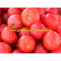 Graines tomate rose berne