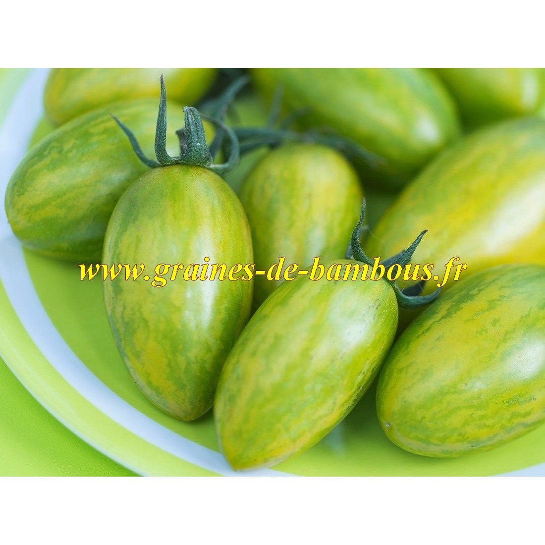 Green tiger tomate graines de bambous fr