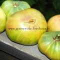 Hh tomato aunt rubys german green