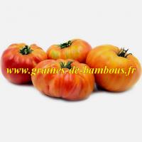 Hillbilly tomate graines de bambous fr