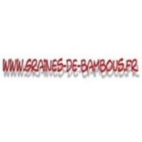 Hysope officinale condimentaire www graines de bambous fr