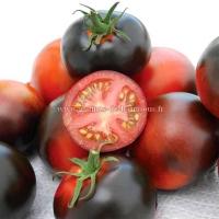 Indigo apple tomate non ogm