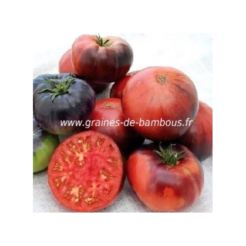 Indigo blue beauty graine de tomate bleue
