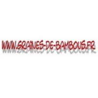 Laitue batavia rouge grenobloise www graines de bambous fr 