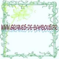 Laitue feuille de chene rouge red bowl graines potageres legumes