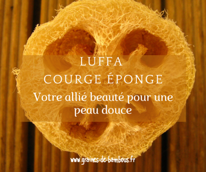 Luffa courge eponge graines de bambous fr