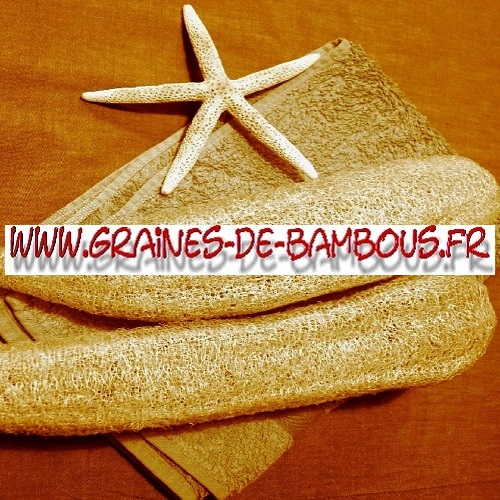 luffa-cylindrica-ou-aegyptiaca-1000-graines-www-graines-de-bambous-fr-3.jpg