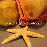 luffa-serviettes-www-graines-de-bambous-fr-5.jpg