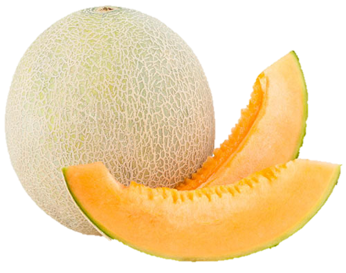 Melon icone gdb