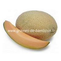 Melon cavaillon espagnol a chair rose graines