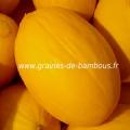 Melon jaune Canari réf.574