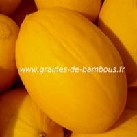 Sachets de semences de melon jaune canarien 3