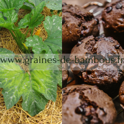 Muffins m lleux au chocolat courgette verte www graines de bambous fr