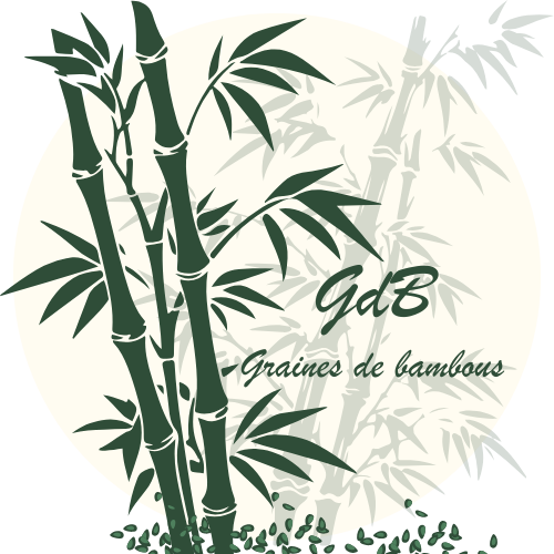 Nouveau logo 2025 graines de bambous fr