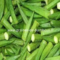 okra-vert-www-graines-de-bambous-fr-1.jpg