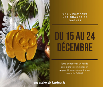 PANDA DORE NOEL 2023 Graines-de-bambous.fr