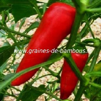 Piment long de Cayenne entier - MesZépices - Achat, utilisation et