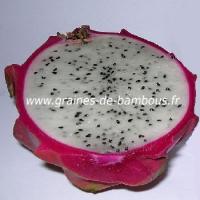 pitaya-fruit-coupe-www-graines-de-bambous-fr.jpg