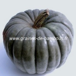 Potiron jarrahdale graines de bambous fr