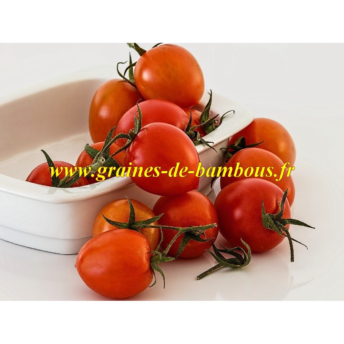 Principe borghese graines tomate