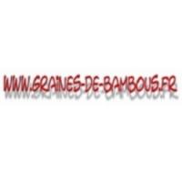 Rose d inde tagetes erecta