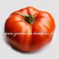 Tomate Brandywine rouge réf.829