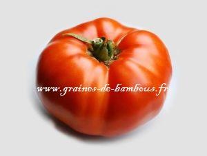 Tomate Brandywine rouge réf.829