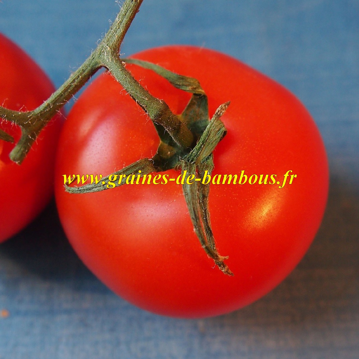 Graines de tomate Red cherry