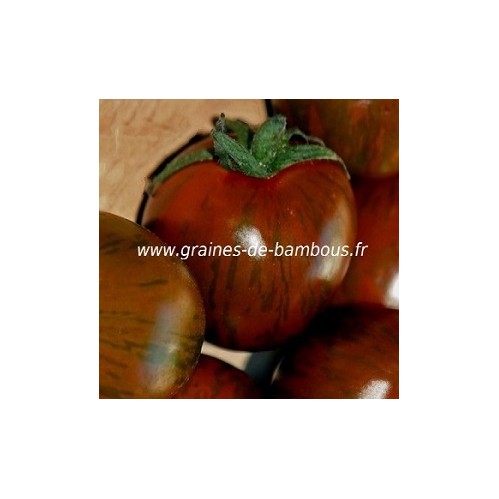 Semences de tomate zebra noire