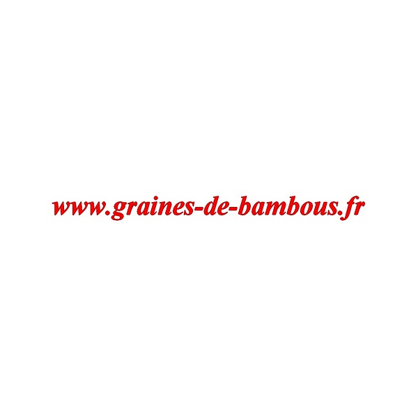Semences tomate noire sur graines de bambous fr