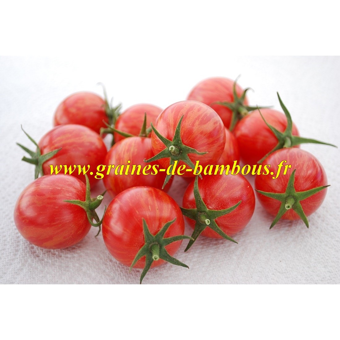 Semences tomate pink bumble bee sur graines de bambous fr