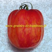 Striped stuffer graines de tomate non traitee