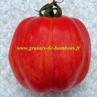 Striped stuffer graines de tomate