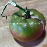 Tomate ananas noire www graines de bambous fr 1 