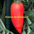 Tomate andine cornue