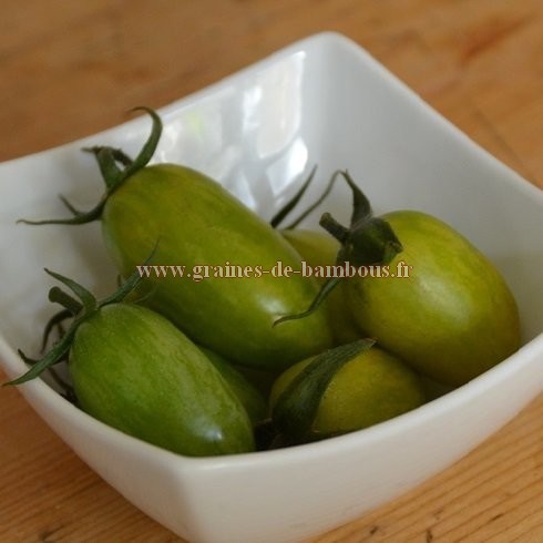 Tomate artisan green tiger