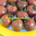 Tomate artisan purple bumble bee graines de bambous fr