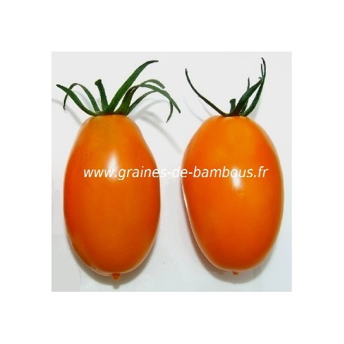 Tomate banana orange graines de bambous fr