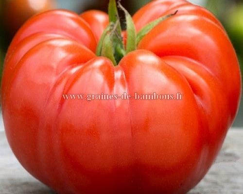 Tomate beefsteak sur graines de bambous fr