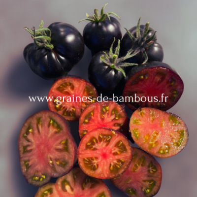 Tomate black beauty www graines de bambous fr