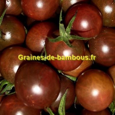 Tomate black cherry graines de bambous eu