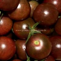 Tomate black cherry