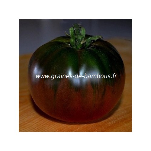 Tomate black russian ou noire russe graines