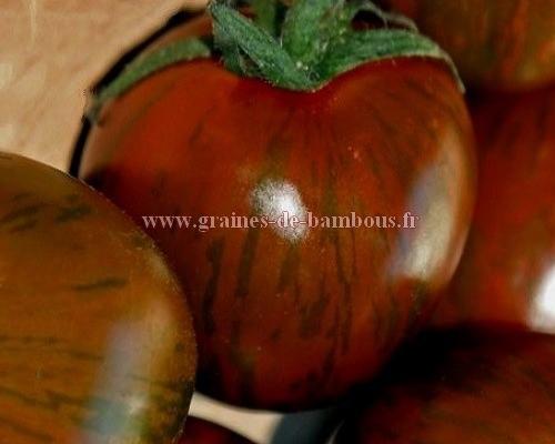 Tomate black zebra graines semences