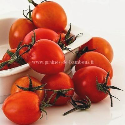 Tomate borghese graines de bambous eu